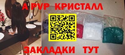 стаф Владимир