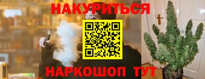стаф Владимир