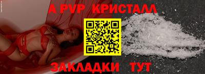 стаф Владимир