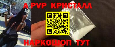 стаф Владимир