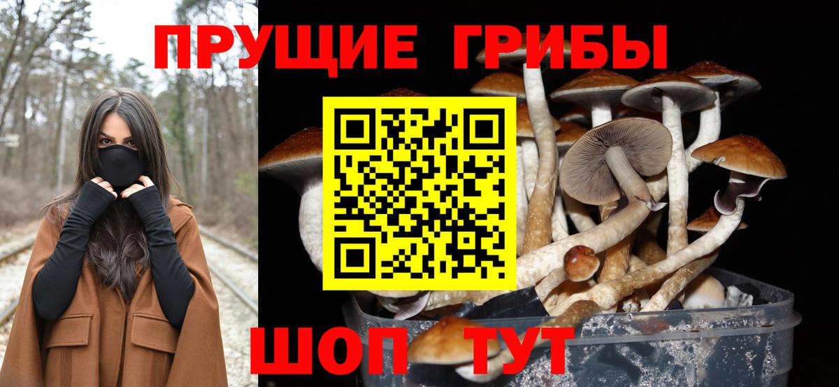 Псилоцибиновые грибы мухоморы Бор