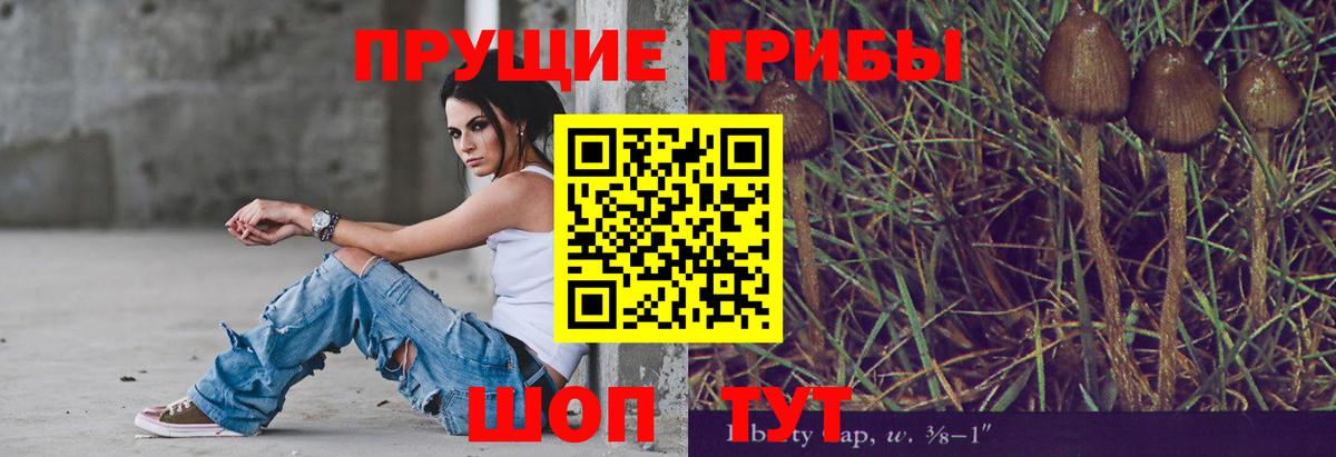 Бор  Псилоцибиновые грибы мицелий  Вход с VPN  Галлюциногенные грибы мухоморы 